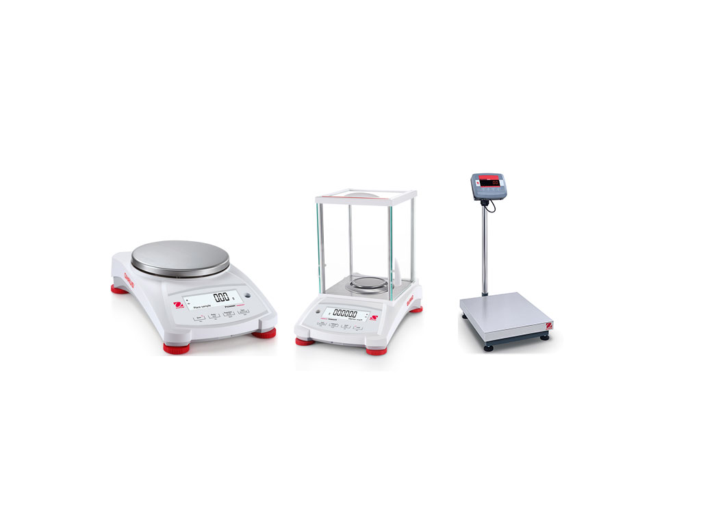 Weighing Scales with Government Calibration Certificate & Stamping Online
